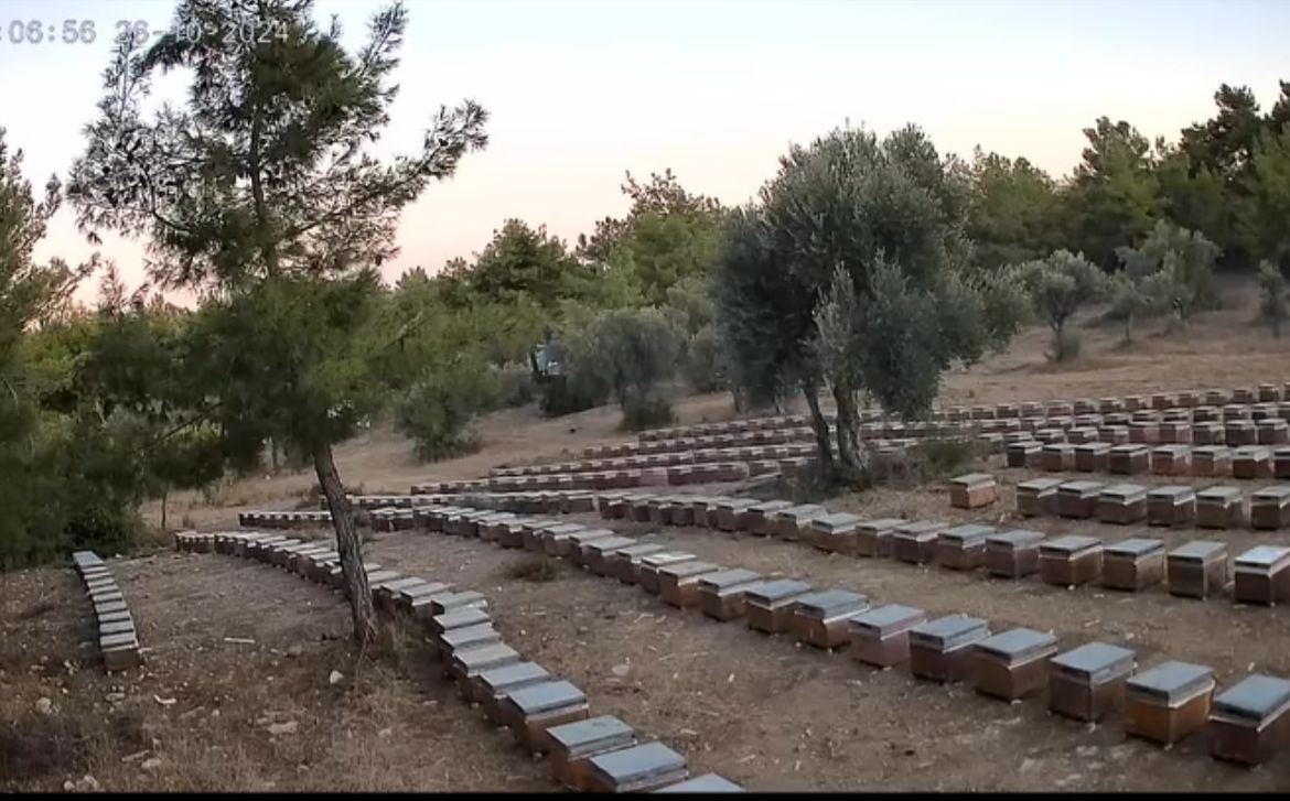 Pulat Arıcılık ve Bal Ürünleri